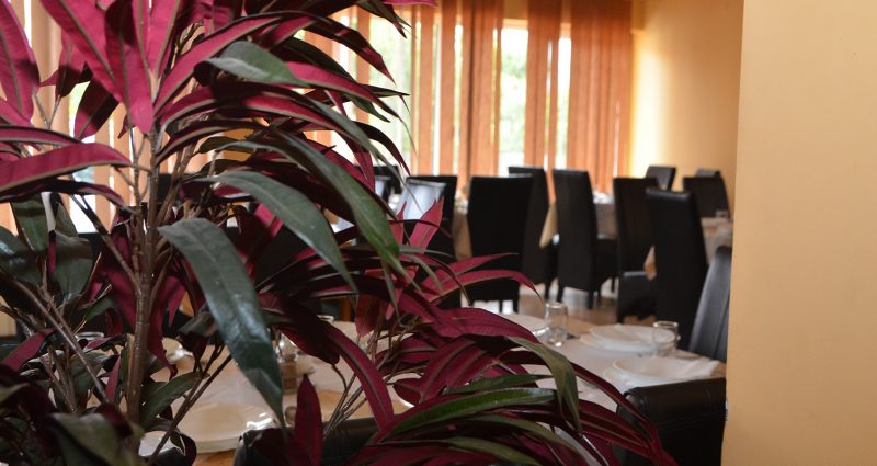 prenociste kod gaje valjevo slika restorana